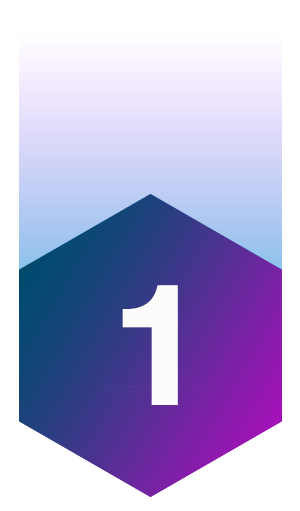 1 icon